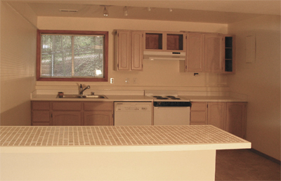 Pine Lake lower kitchen